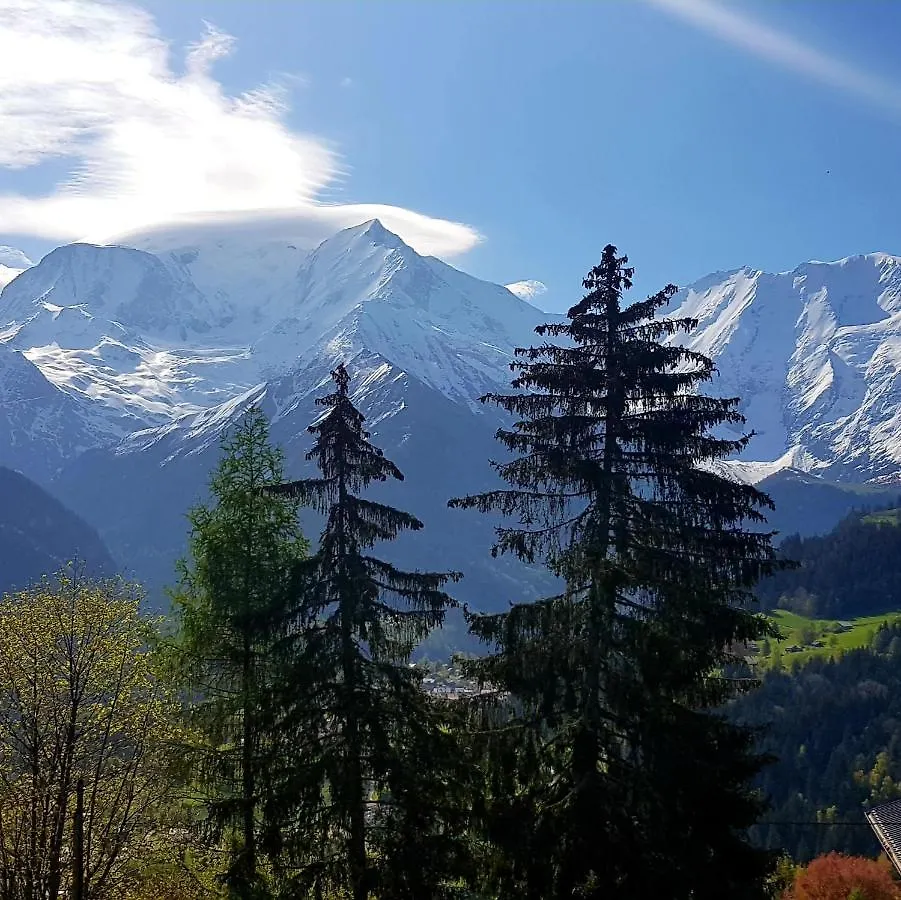 Appartement Saint Gervais les Bains vue imprenable Mont Blanc Saint-Gervais-les-Bains