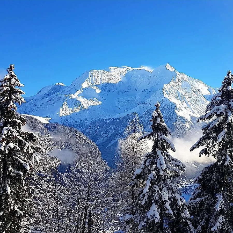 Appartement Saint Gervais les Bains vue imprenable Mont Blanc 0*, Saint-Gervais-les-Bains