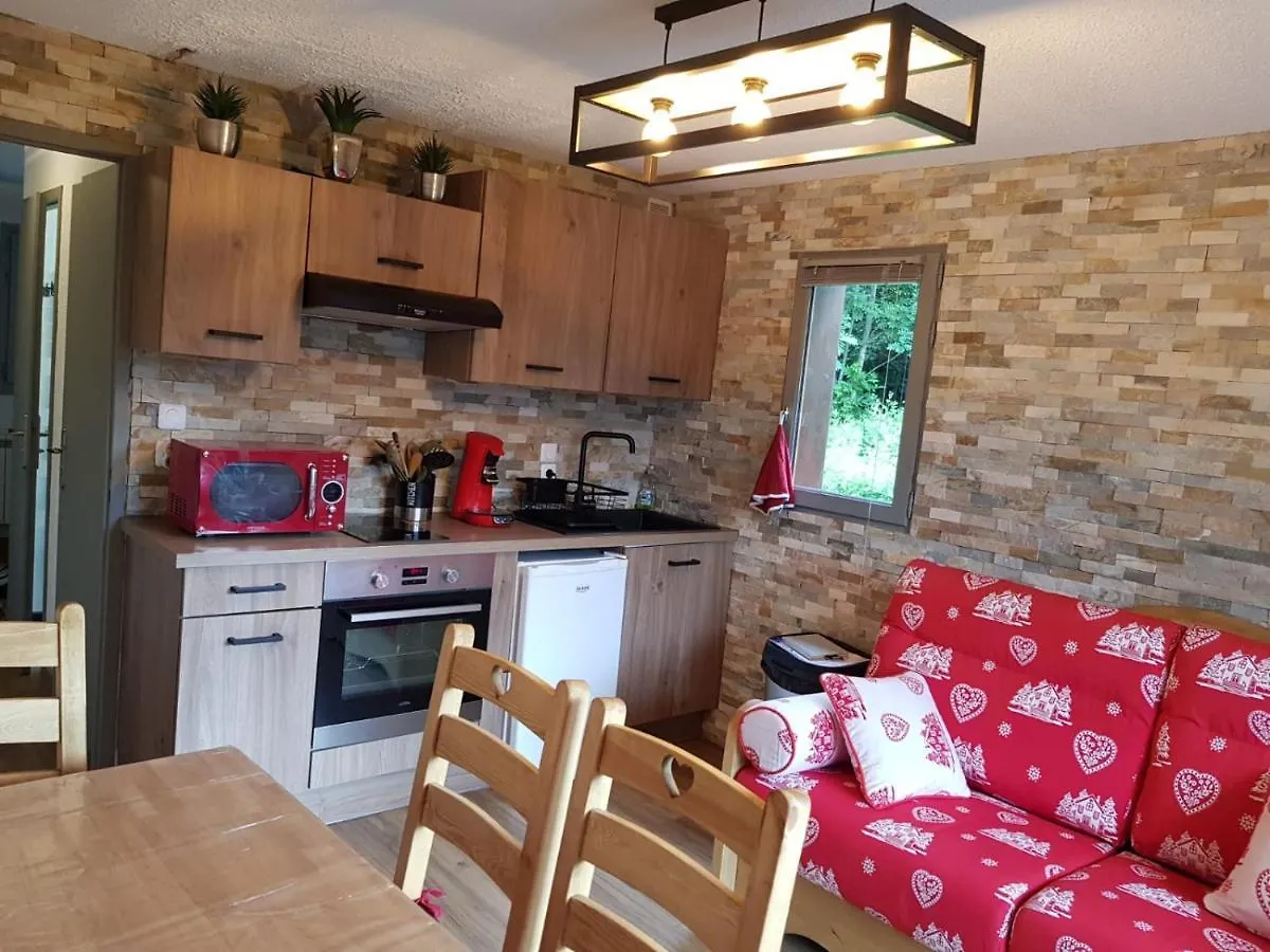 Appartement Saint Gervais les Bains vue imprenable Mont Blanc 0*, Saint-Gervais-les-Bains France
